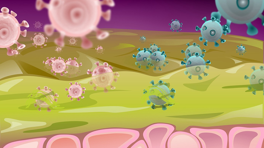 illustration som visar viruspartiklar