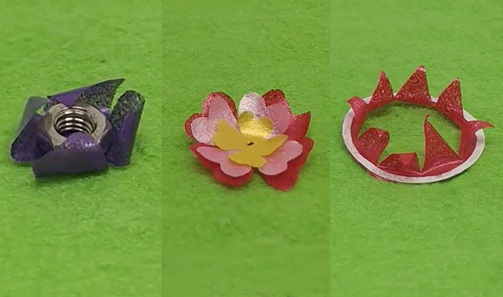 Forskarnas material i olika former och färger: som emballage runt en mutter och två olika blommor