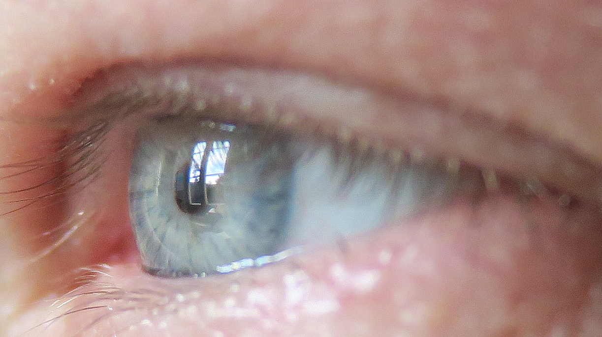 close-up view of human eye