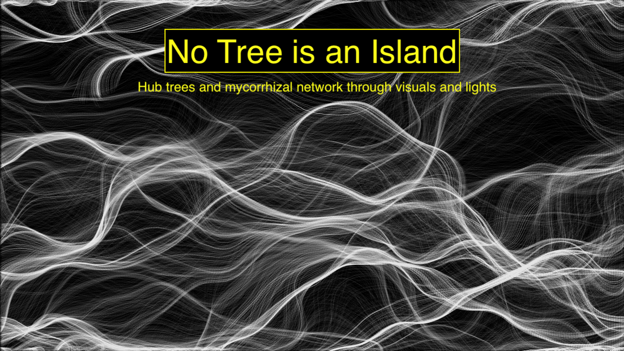 Illustrative Image for the project 'No Tree Is An Island'