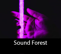 Sound Forest
