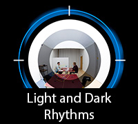 Light and Dark Rhythms