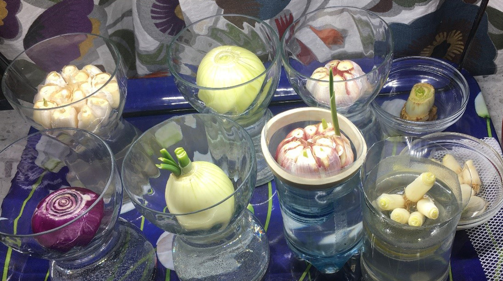 Grönsaker i glasvaser med vatten på ett bord.