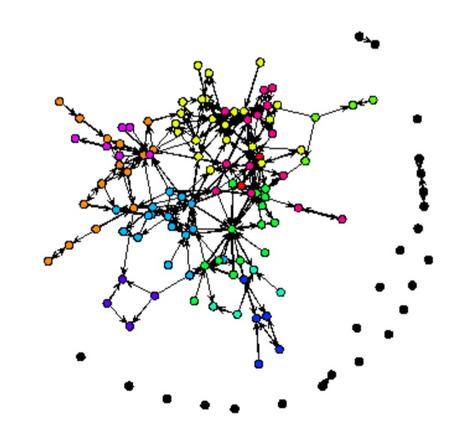 A typical network diagram of collaborative ties between civil society organisations in Cape Town.