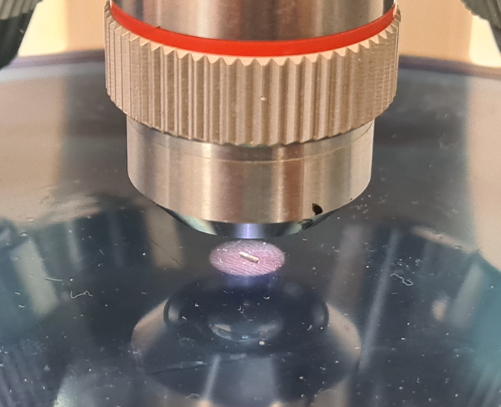 Silicon microimplant checked under a microscope