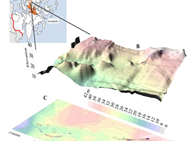 Scanned rock surface