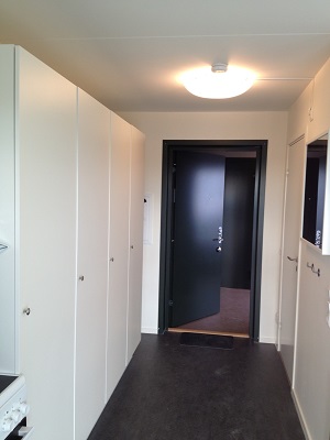 Interior hallway with closet doors on left side, bathroom door on right and main door ahead.