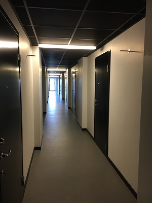 Interior corridor of building with doors on left and right, window at the end.