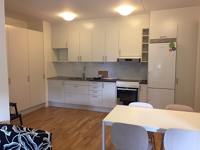 White painted apartment with kitchen, four closets, table and couch.