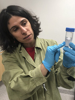Zeynep Cetecioglu Gurol undersöker ett provrör med avloppsvatten