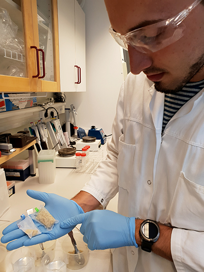 Scientist working in laboratory shows 