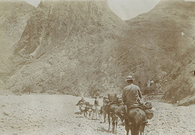 Flera ryttare sedda bakifrån rider i landskap med berg i fonden.