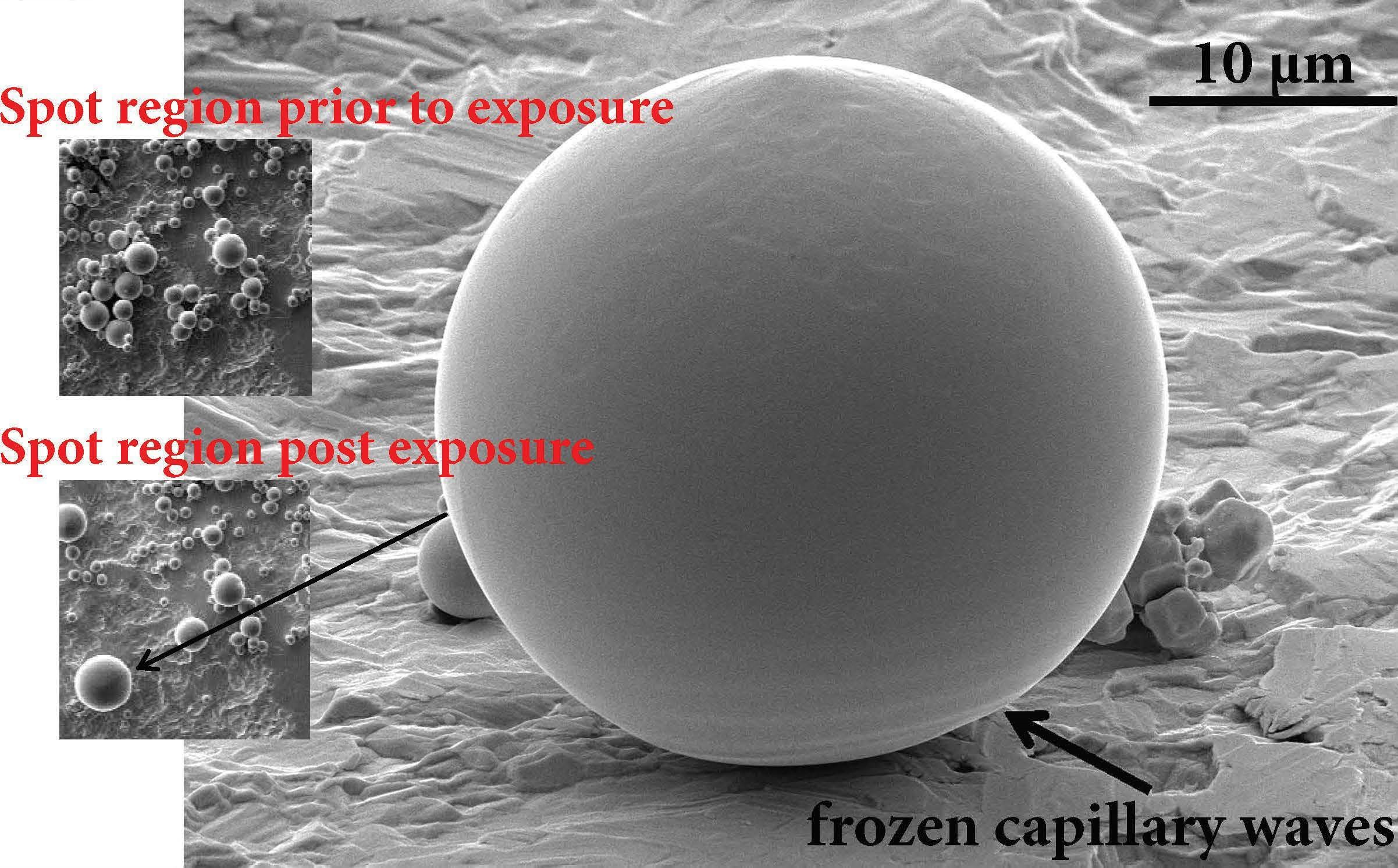 Frozen capillary waves at the bottom of a spherical W  grain formed by wetting-induced coagulation