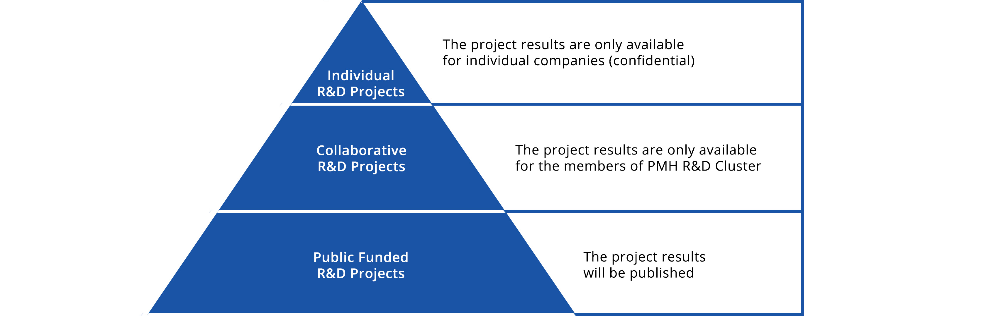 The triangle of projects in the PMH R&D Cluster.