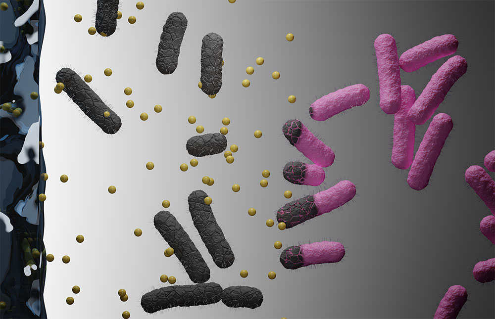 Illustration som visar antibiotika inkapslad i nanogeler och hydrogeler.