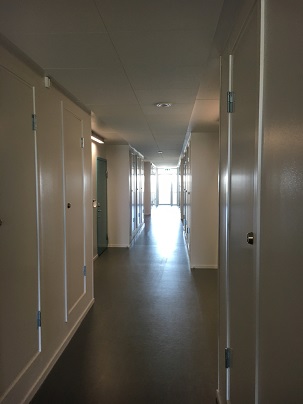 Interior corridor with brightly colored apartment doors on both sides.