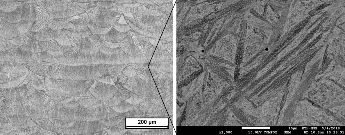 Powder Based Materials_As-built microstructure for an additively manufactured steel_v2