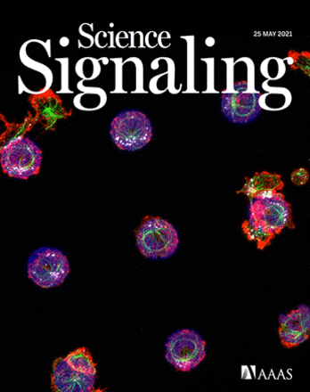 ett omslag till den vetenskapliga tidskriften Science Signaling där forskarnas cellforskning finns