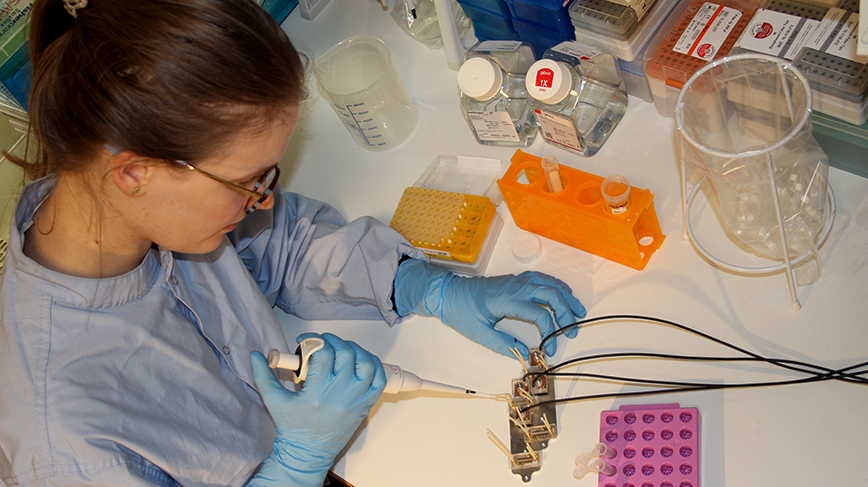 Isabelle Mathiessen working in the lab, setting up brain model device for a test