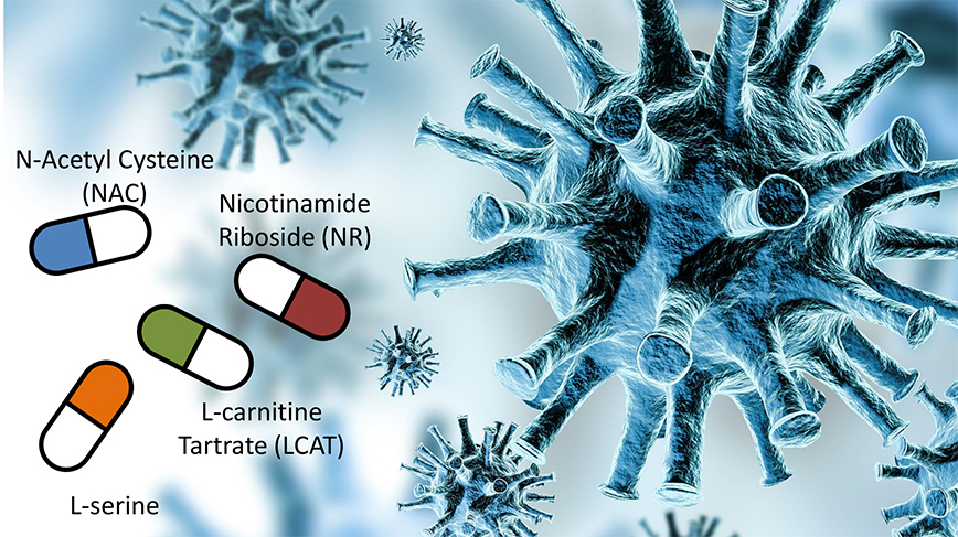 Grafisk bild med coronavirus och symboler för olika metaboliska aktivatorer.
