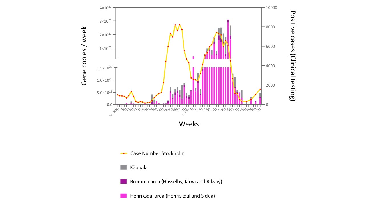 Gene copy number/week (raw wastewater) with bovine factor in Stockholm region up to week 32, 2021.