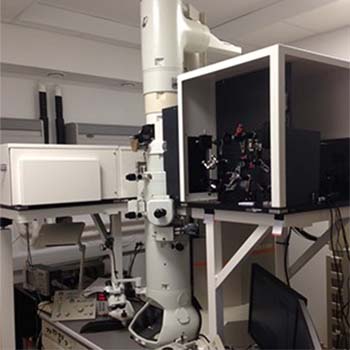 Modified JEOL JEM 2100 microscope.