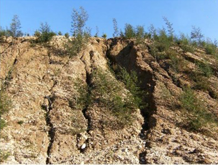 A gully where soil appears brown and eroded on an abandoned farm