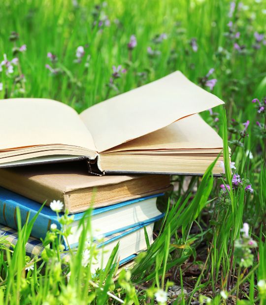 Books in the grass