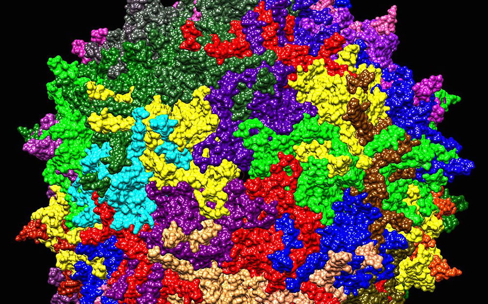 En datorgenererad, färgglad bild som föreställer AAV-virus.