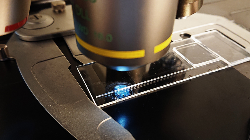 a microscope in a lab