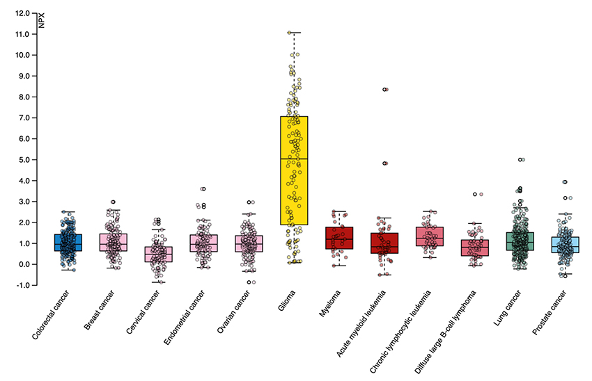 A graphic with a yellow bar, one of 11, that stands taller to indicate high expression of a protein