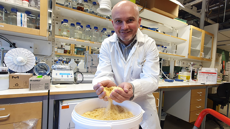 Man in lab coat holds handful of corn bran