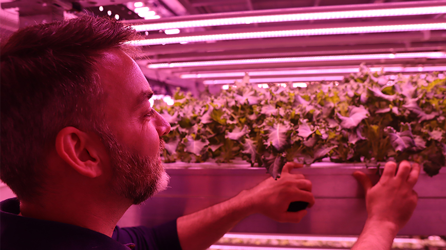 Michael Martin in front of plants in a greenhouse