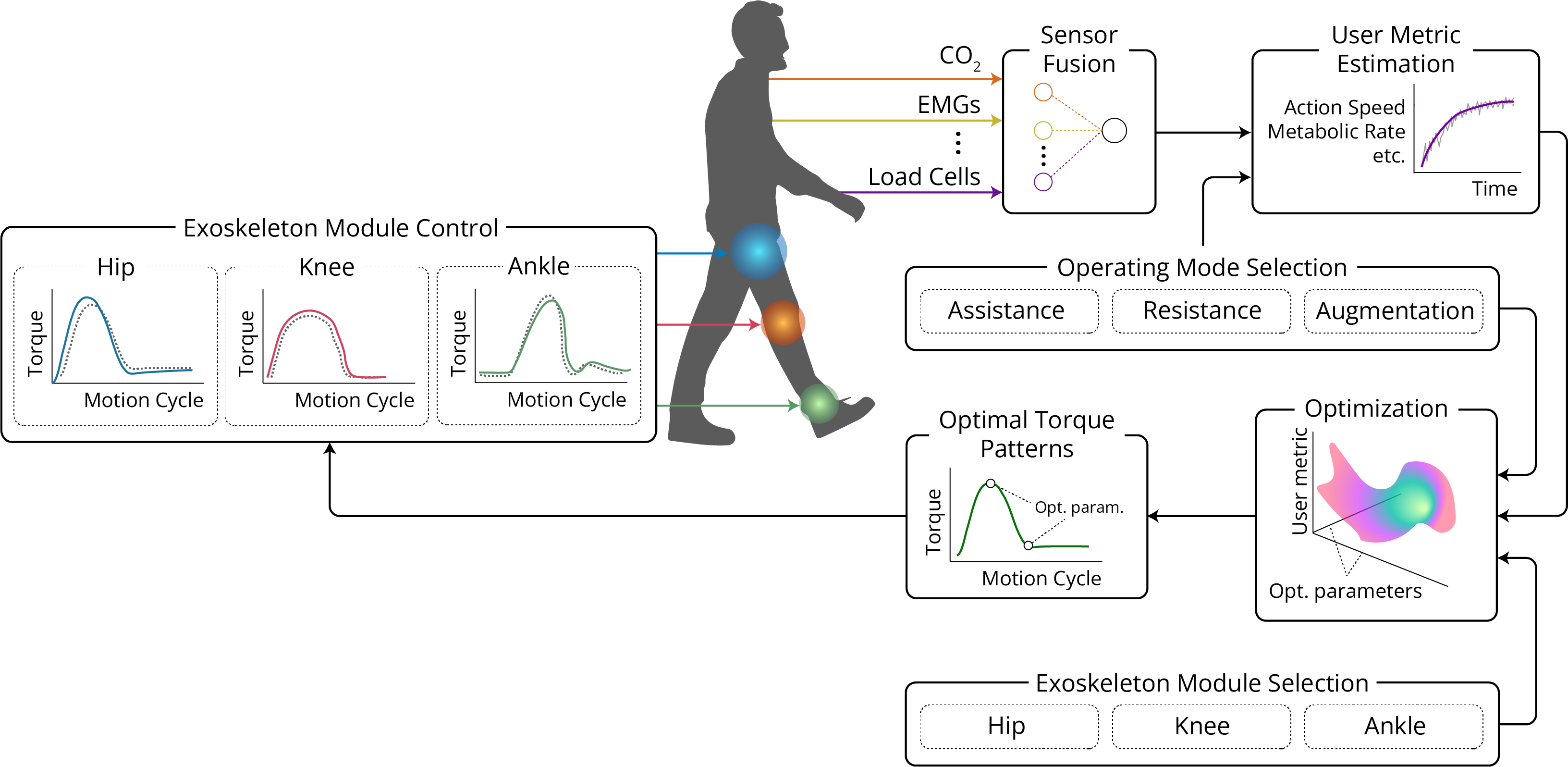 Exoskelettkontrol i realtid för "human-in-the-loop" optimering