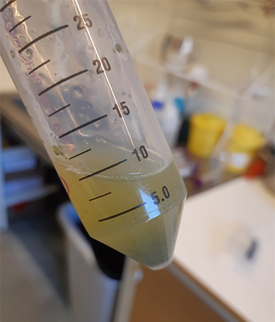 a test tube with liquid