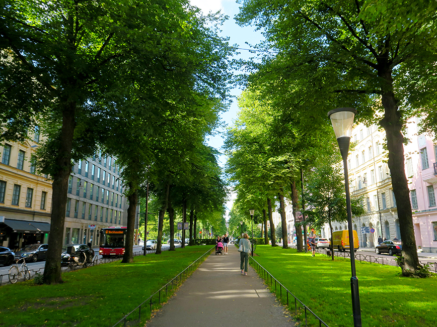 Tree lined parkway in middle of busy avenue with people walking