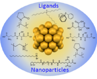 A gold nanocluster visualized as densely packed yellow spheres, and coated with a variety of ligands