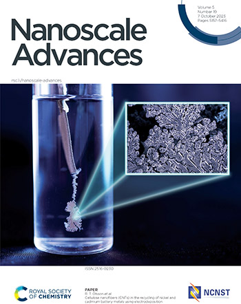 omslag till tidskriften Nanoscale Advances