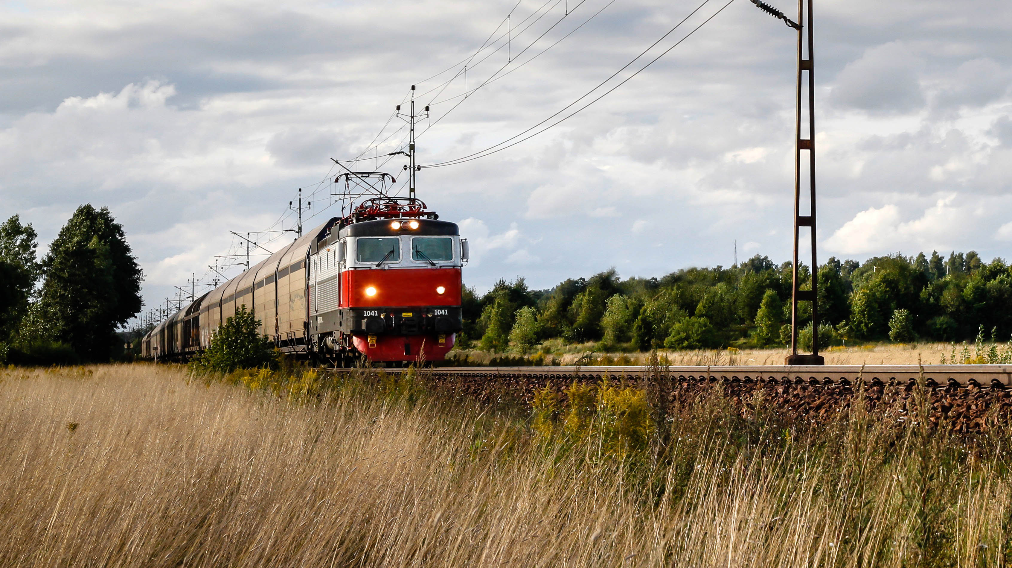 Tåg på räls i landskap