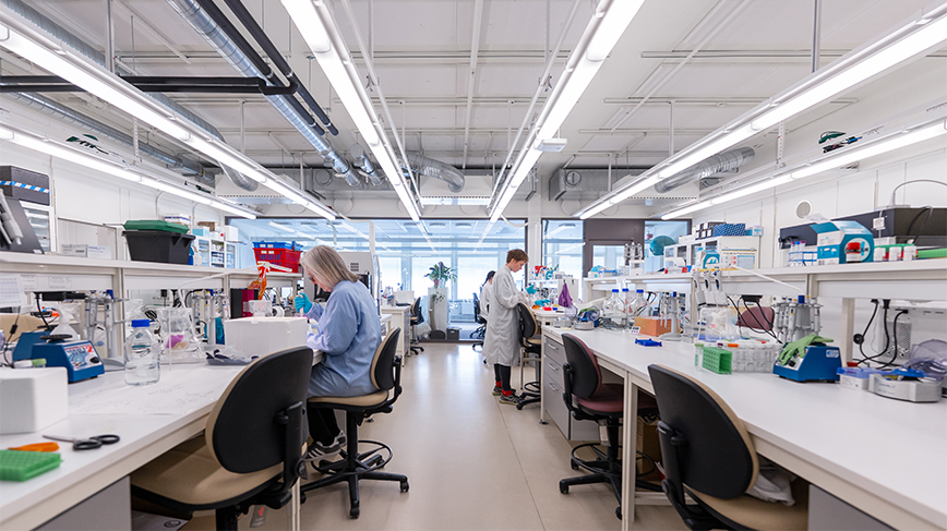 Laboratorium där forskare arbetar vid arbetsbänkar