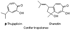 Confier tropolones