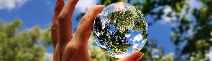 A hand holding a glass sphere. A tree and sky is reflected through it.