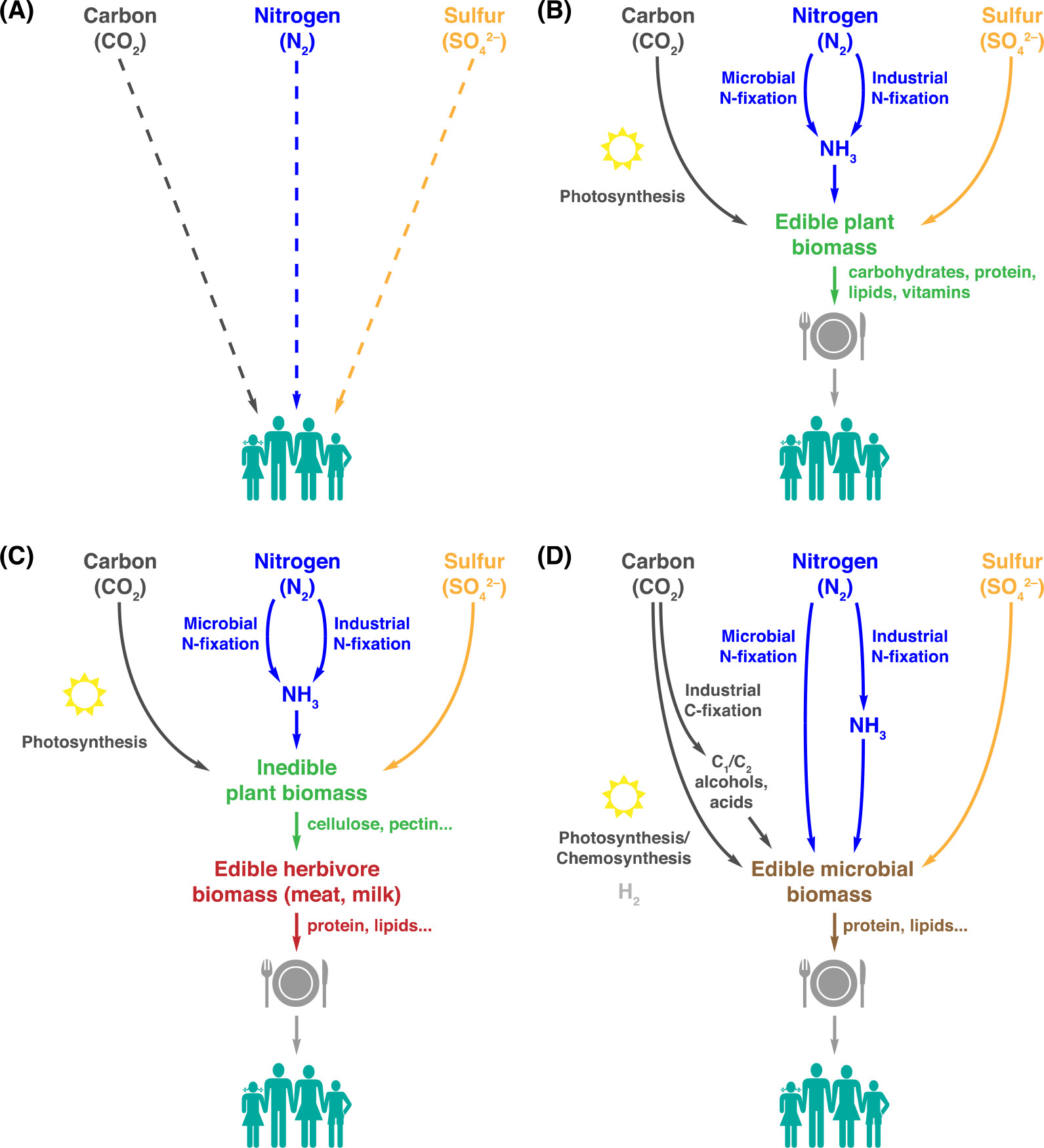 Figure1.A biocatalyticviewof foodproductionand human nutrition.