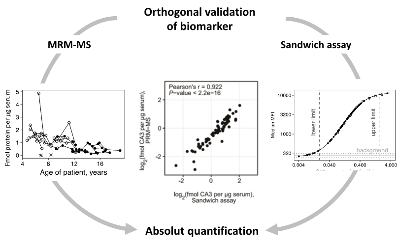 Figure of orthogonal validation of a biomarker. 
