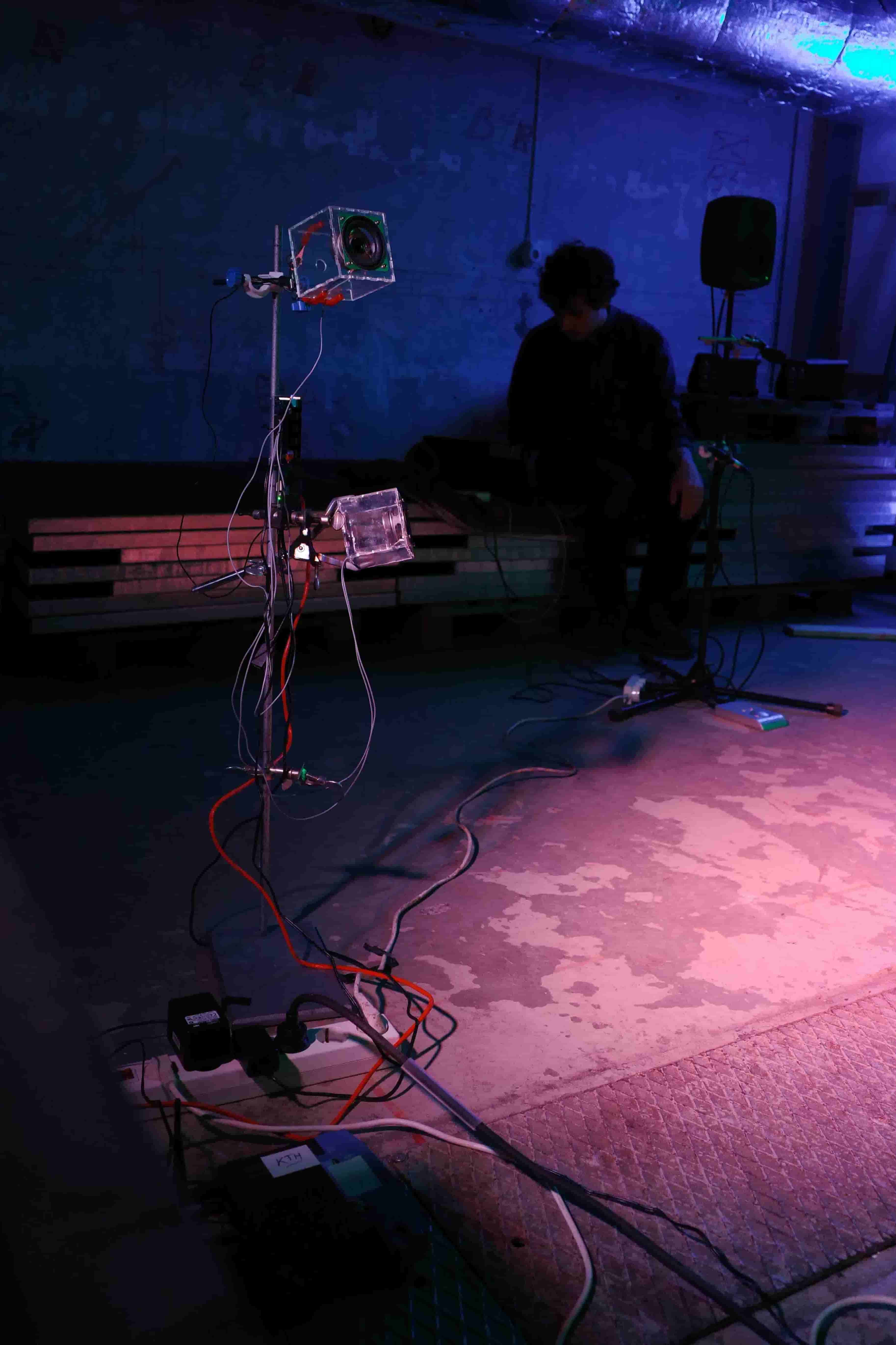 sound installation with speakers in a pink-lit room 