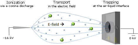Electrohydrodynamic transport