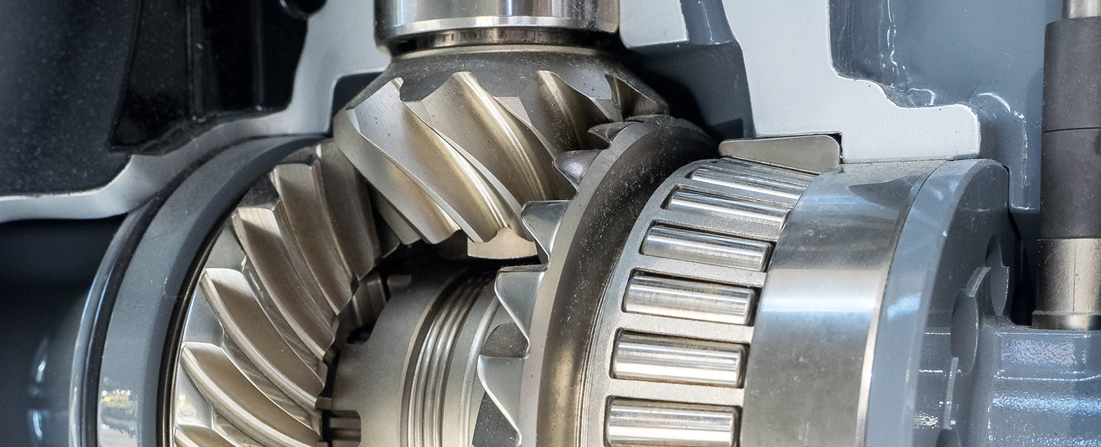 Detail of powertrain