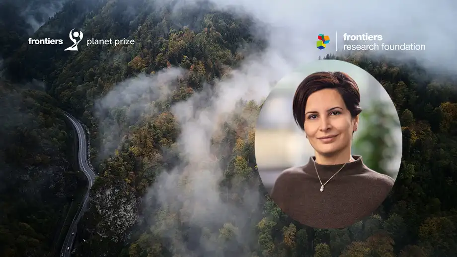 A photo of Zahra Kalantari in front of a photo of a clouded forest