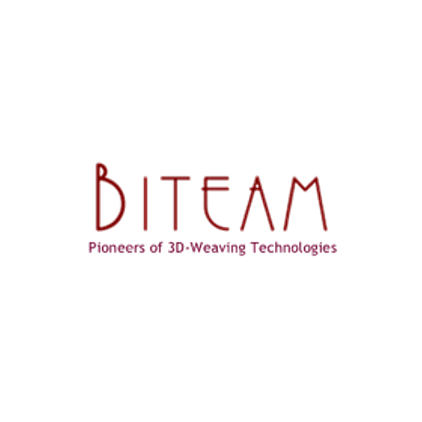 Biteam logo