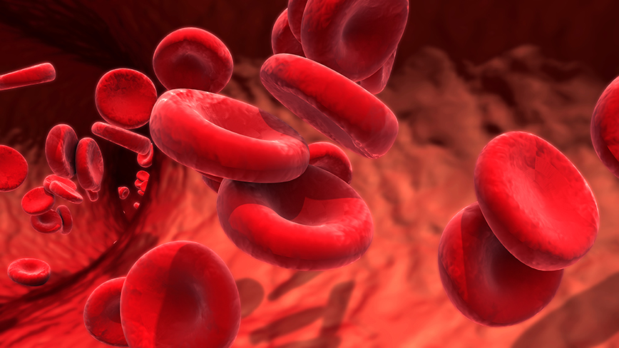 A blood cell. 